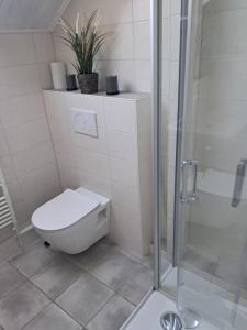 a bathroom with a toilet and a glass shower at Feldblick in Ruhwinkel +7 photos