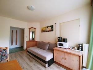 a living room with a couch and a microwave at Apartment House Seerose self check-in in Obertraun
