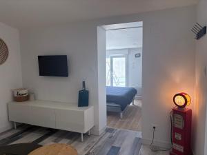 a room with a bedroom with a bed and a tv at Lodge La Forêt in Les Sables-d'Olonne