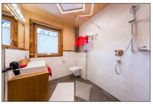 a bathroom with a shower and a sink and a toilet at Ferienchalet Elisabeth in Steeg +32 photos