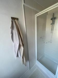 a bathroom with a shower and a towel rack at Ferienwohnung Wiesenweg in Friedrichroda +4 photos