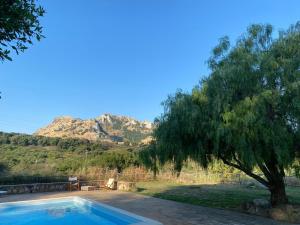 a swimming pool with a tree and mountains in the background at Casa Fochita in Gratteri