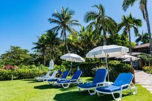 a row of blue and white chairs and umbrellas at Pousada Alcatrazes in Juquei