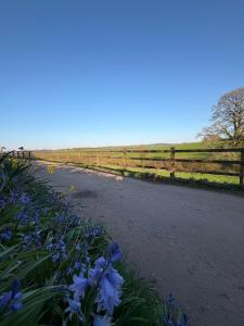 a fence with blue flowers next to a road at Wayeview Cottage on working Devon farm in Ipplepen