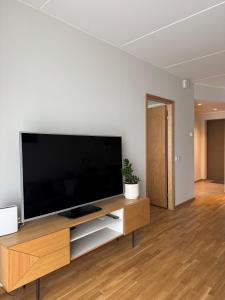 a flat screen tv sitting on top of a wooden entertainment center at Loo Apartment in Loo