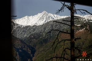 a snow covered mountain with a tree in the foreground at Zostel McLeodganj in McLeod Ganj +48 photos