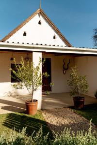 a house with two potted trees in front of it at Karoo House Collection - Riverdene Lodge in Nieu-Bethesda