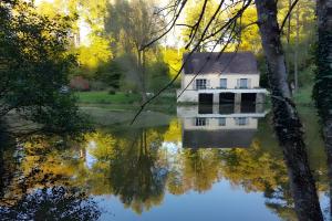 a house in the middle of a body of water at Gîte Nid dans la Forêt in Saint-Jean-aux-Bois