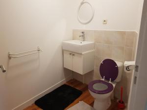 a bathroom with a purple toilet and a sink at Gîte des Gatinelles in Erbray