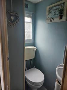 a bathroom with a white toilet and a sink at An Tigin in Cahersiveen
