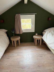 a green bedroom with two beds and a window at De Meerkoet Tiny House Tussen de Dijken in Driewegen