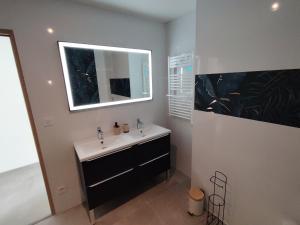a bathroom with a sink and a mirror at Le petit marais in Le Mans +12 photos