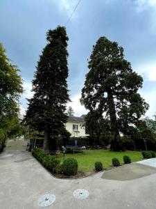 a house with two trees in a driveway at Residence Mont-Blanc in Geneva