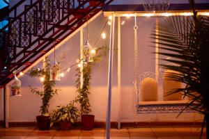a white wall with lights and potted plants at Inayat-Pet friendly boutique homestay in Dehradun