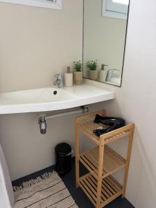 a bathroom with a sink and a mirror at De Ree Tiny House Tussen de Dijken in Driewegen