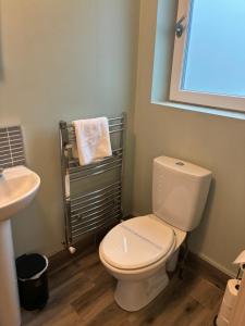 a bathroom with a white toilet and a sink at Professional & Approved Self Catering Short Term Holiday Homes in Maynooth