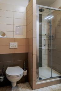 a bathroom with a toilet and a glass shower at Cyklo Apartmán Třeboň in Třeboň +12 photos