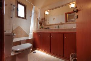a bathroom with a toilet and a sink and a mirror at Villa Geomare in Apolakkiá +20 photos