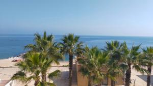 a group of palm trees on a beach with the ocean at TRILOCALE DIRETTAMENTE SUL MARE- cod 511 in Porto Recanati