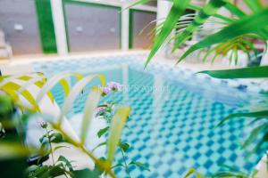 a close up of a swimming pool with a plant at Nguem's Appart in Odza I