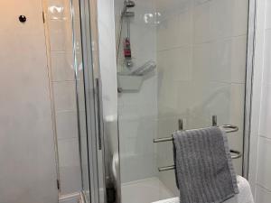 a shower with a glass door and a towel at Coedmor in Newport +16 photos