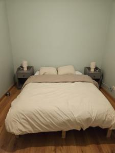 a bedroom with a bed with two nightstands and two lamps at La maison de Pommard in Dijon