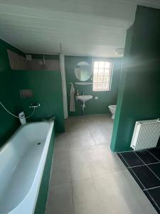 a green bathroom with a tub and a sink at Villa Katry in Augustenborg +22 photos