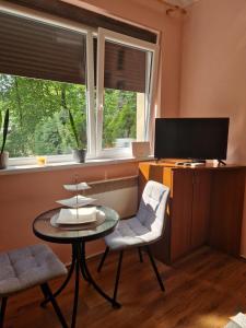 a living room with a table and a tv and two windows at Apartmani Central Vrnjačka Banja Šetalište in Vrnjačka Banja +7 photos