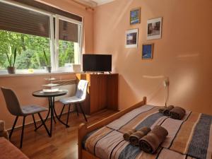 a bedroom with a bed and a table and a window at Apartmani Central Vrnjačka Banja Šetalište in Vrnjačka Banja