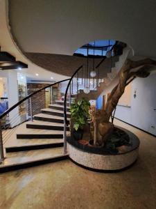 a staircase in a building with a tree in the middle at الريف الاوربي in Cairo