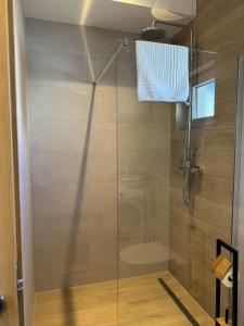 a shower with a glass door in a bathroom at Villa Vista in Blato +19 photos