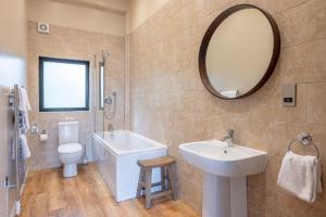 a bathroom with a sink and a toilet and a mirror at Abbey in Richmond +18 photos