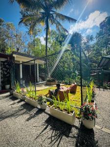 a person laying in a chair in a yard with plants at Home Away Ella in Ella