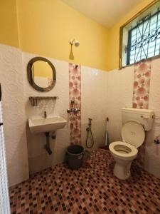 a bathroom with a toilet and a sink and a mirror at Carvalhos Regina 100 mtrs Patnem beach in Canacona