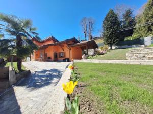 a yellow flower in the grass in front of a house at piccola Villa La Palma in Colazza