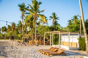 a group of chairs on a beach with palm trees at Canto das Amêijoas in Inhambane