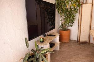 a television hanging on a wall with plants at Encanto do frade in Carrapatelo