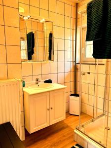 ein Badezimmer mit Waschbecken und Dusche in der Unterkunft Unieke vakantiewoning met jacuzzi in de natuur in Het Laar + 66 Fotos