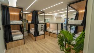 a room with four bunk beds and a potted plant at 7even Boutique Hostel in Tirana +51 photos