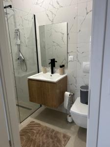 a bathroom with a sink and a toilet and a mirror at Maison Colmar, spacieuse, accueillante , confortable au calme in Colmar +25 photos