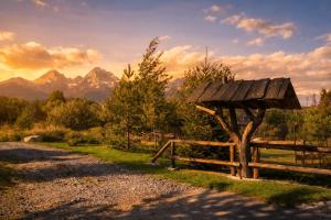a wooden bench sitting on the side of a dirt road at Penzión Daria in Batizovce