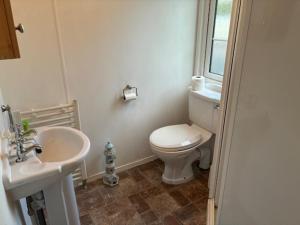 a bathroom with a white toilet and a sink at Bramble Lodge in West Chevington