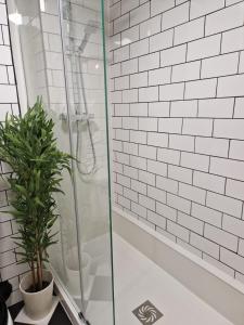 a bathroom with a shower and a potted plant at Cobb's Margate Old Town Hideaway in Margate +15 photos