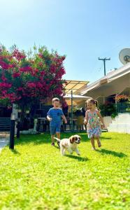 two children and a dog walking in the grass at Guest House Julia in Stavros +25 photos