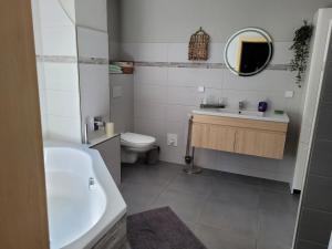 a bathroom with a sink and a toilet and a mirror at Ferienwohnung Heider in Dippoldiswalde