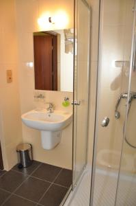 La salle de bains est pourvue d'un lavabo et d'une douche. dans l'établissement Markiz Łopuszno, à Łopuszno