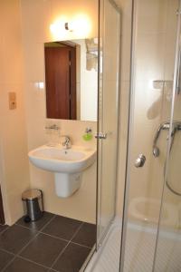 a bathroom with a sink and a shower at Markiz Łopuszno in Łopuszno +13 photos