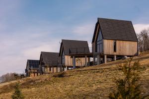 a row of houses on top of a hill at Widok Paleśnica in Paleśnica