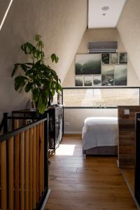 a bedroom with a bed and a potted plant at Widok Paleśnica in Paleśnica
