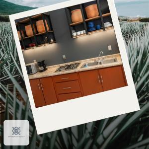 a kitchen with brown cabinets and a sink at Casa Morelos Tekilán in Tequila